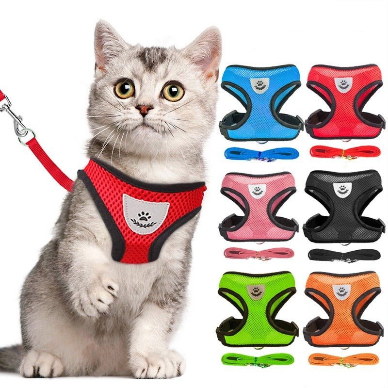 http://kits-cat.com/cdn/shop/products/harnais-pour-chat-et-petit-chien-softharnesscat-833983.jpg?v=1689691310