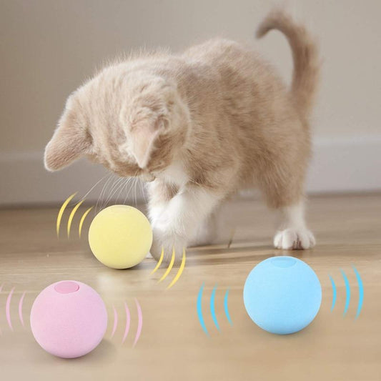 BALLE D'APPRENTISSAGE INTELLIGENTE POUR CHAT | SmartBall™ - Kits Cat
