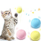 BALLE D'APPRENTISSAGE INTELLIGENTE POUR CHAT | SmartBall™ - Kits Cat